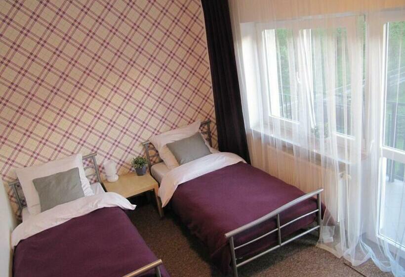 Номер Стандарт, Leśna Villa