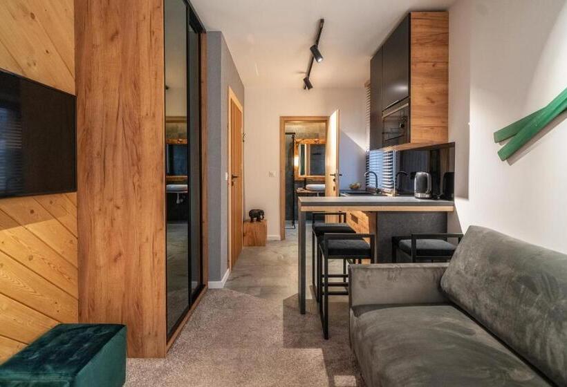 آپارتمان 1 خوابه با بالکن, Tatrzańska Miejscówka   Apartamenty Centrum