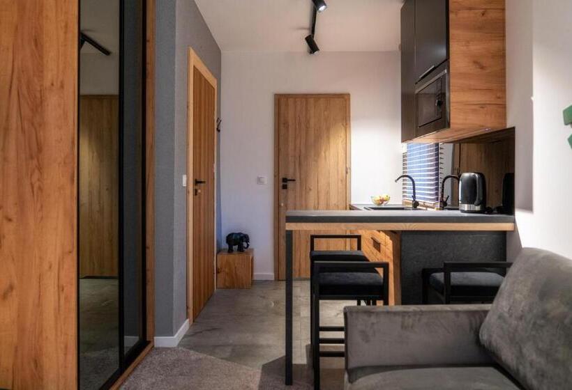 آپارتمان 1 خوابه با بالکن, Tatrzańska Miejscówka   Apartamenty Centrum