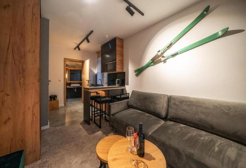 آپارتمان 1 خوابه با بالکن, Tatrzańska Miejscówka   Apartamenty Centrum