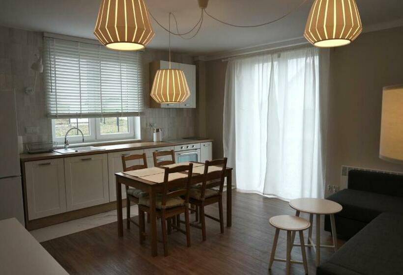 Апартаменты Deluxe 1 Спальня, Apartamenty Przy Winnicy