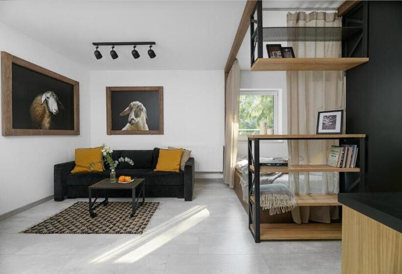 إستوديو قياسى سرير كينج, Aparthotel Narciarska 2