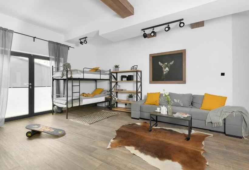 إستوديو قياسى, Aparthotel Narciarska 2