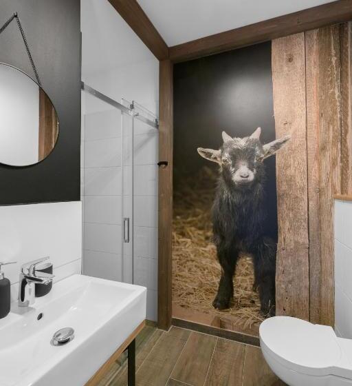 إستوديو قياسى, Aparthotel Narciarska 2