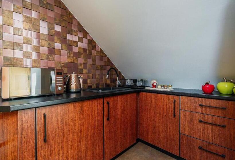 Апартаменты 2 Спальни, Serce Tatr Residence Zakopane   Blisko Krupówek