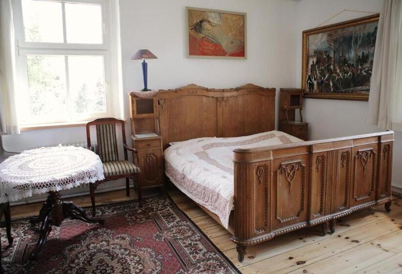 سوئیت جونیور با چشم‌انداز باغ, Villa Navigator