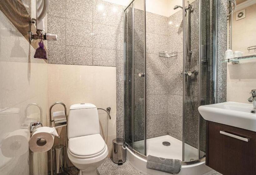 Номер Стандарт, Biały Dunajec Resort & Spa