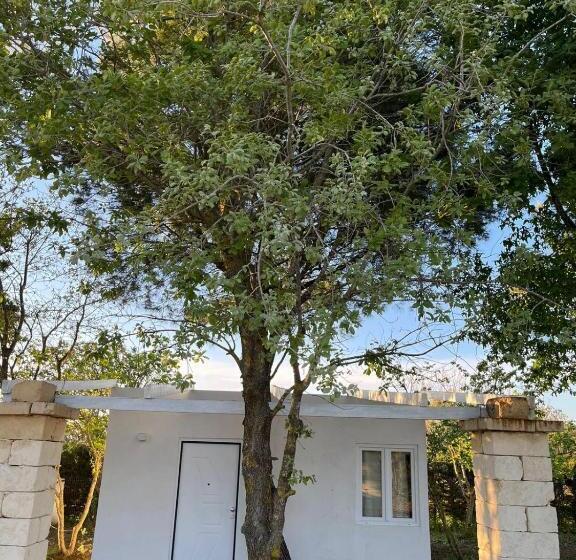 Полулюкс Вид на Сад, Agriturismo Tenuta La Monaca