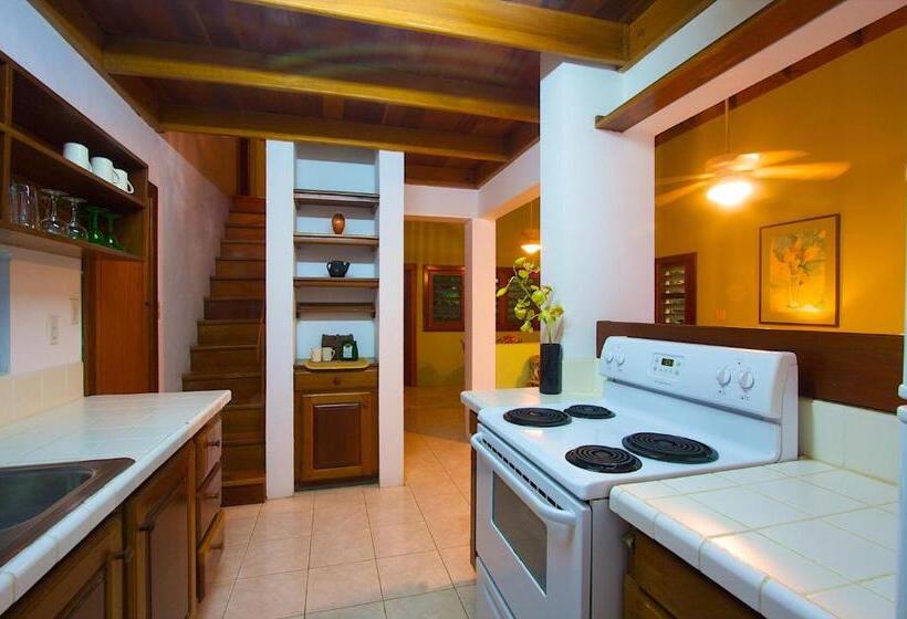 سوییت, Caribbean Villas