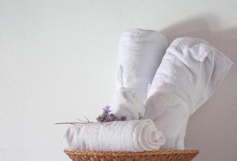 اتاق استاندارد سه نفره, Noma Bed & Breakfast