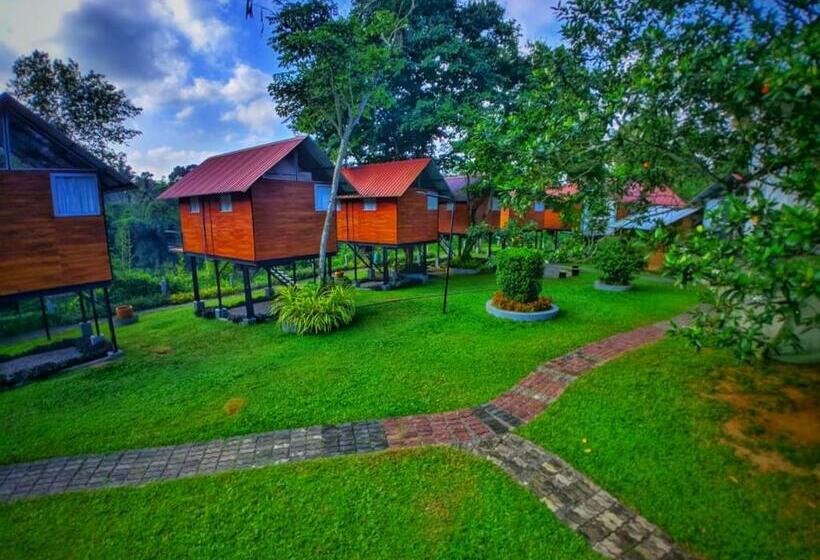 Номер Стандарт Вид на Озеро, Kolonne Riverside Garden