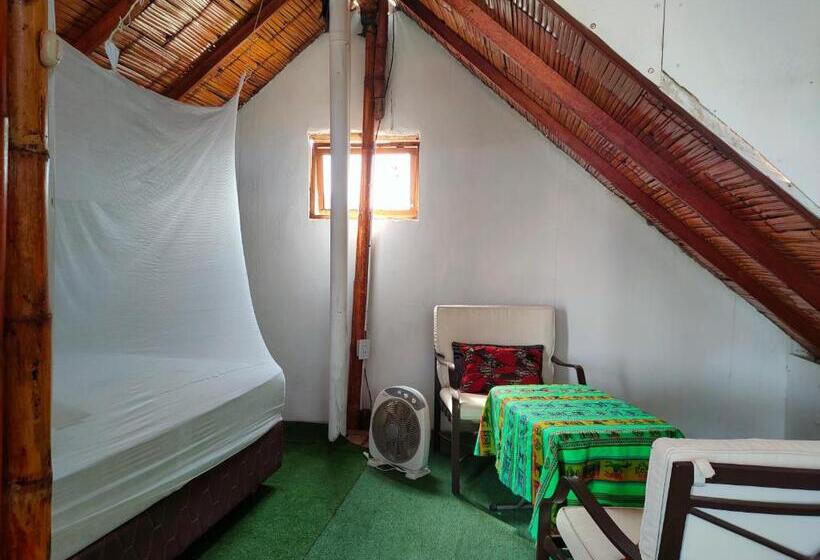 بانگلوی استاندارد با چشم‌انداز دریا, Wally S House Mancora