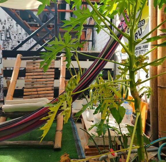 بانگلوی استاندارد با چشم‌انداز دریا, Wally S House Mancora