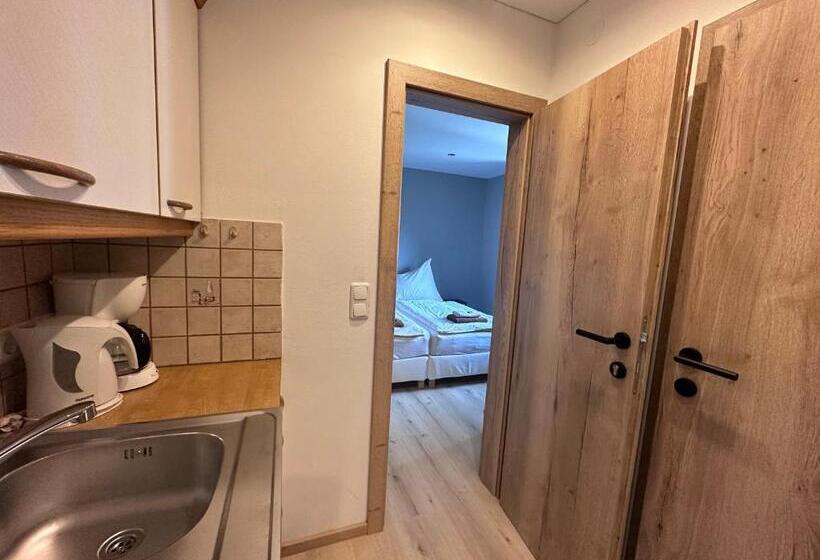 آپارتمان 1 خوابه, Haus Tirol
