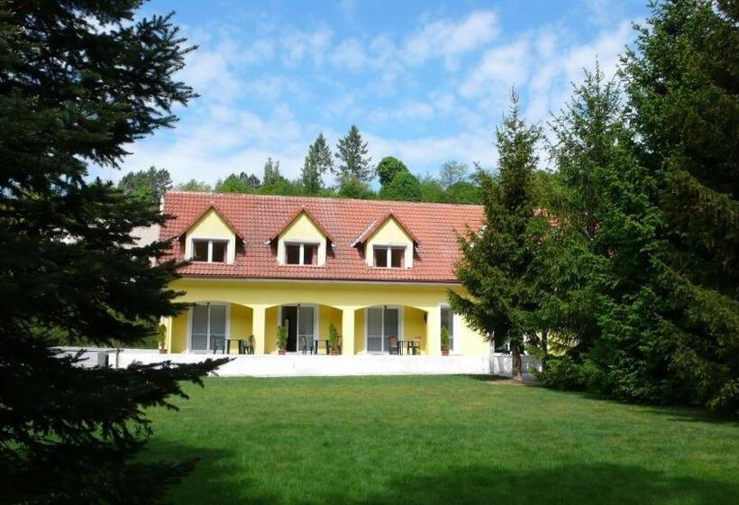 Номер Стандарт с Террасой, Penzion Kormorán