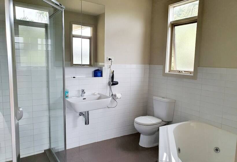 דירת חדר דלוקס, Central Shepparton Apartments