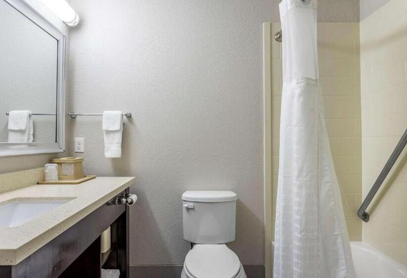 Люкс Адаптированный для Инвалидов, Comfort Inn & Suites North Little Rock Jfk Blvd