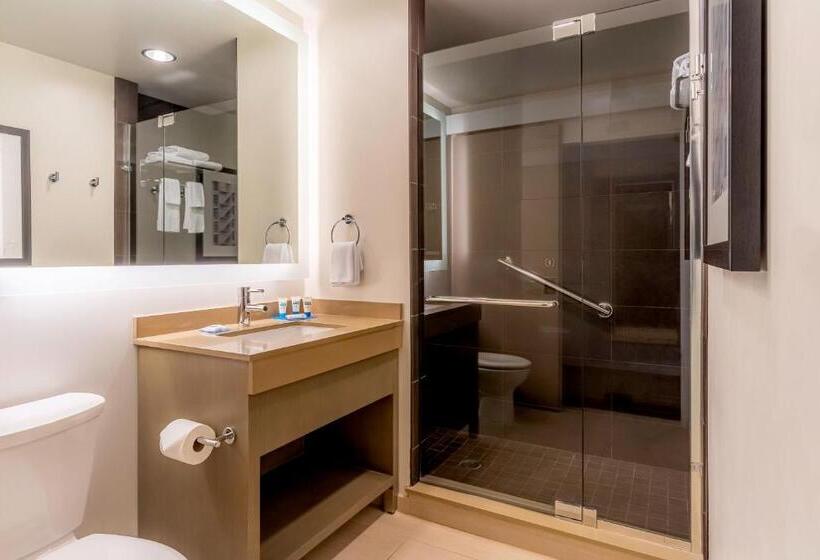 Студио Стандарт Кровать Кинг, Hyatt House Salt Lake City Downtown