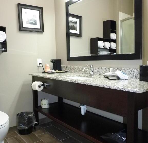 Номер Стандарт, La Quinta By Wyndham Paducah
