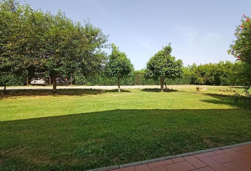Апартаменты 1 Спальня Нижний Этаж, Il Chiassetto Agriturismo No Kids