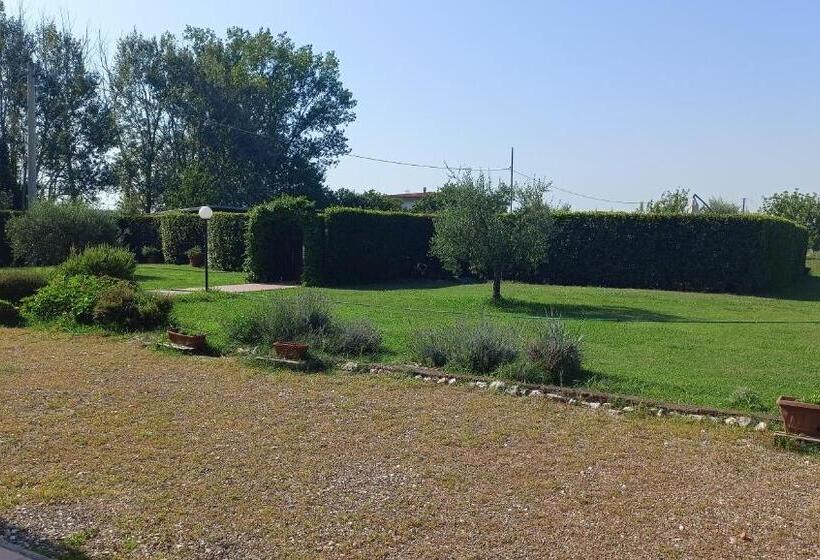Апартаменты 1 Спальня Нижний Этаж, Il Chiassetto Agriturismo No Kids