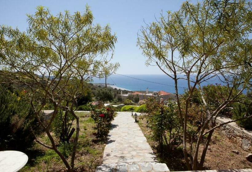 수피리어 룸 바다 전망, Pegasus Resort