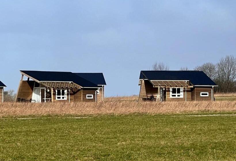 Номер Стандарт, Dancamps Kolding City