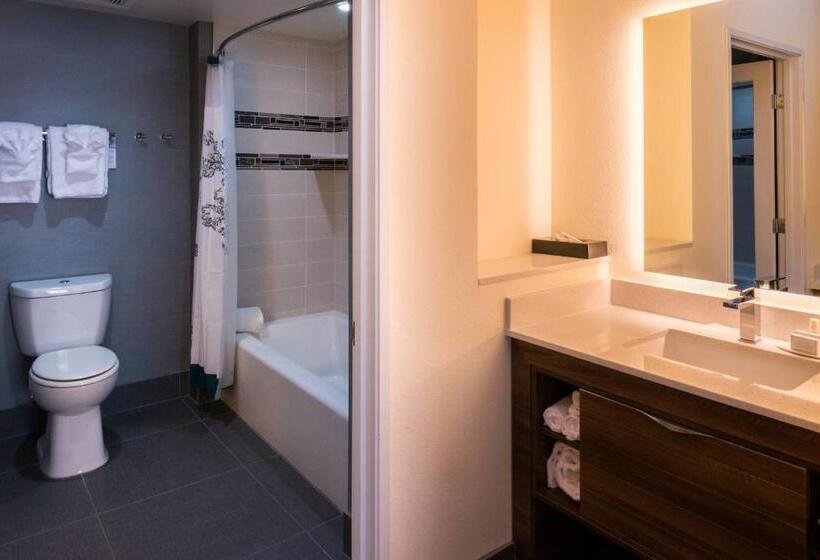 Студия Стандарт Вид на Город, Residence Inn By Marriott Temecula Murrieta