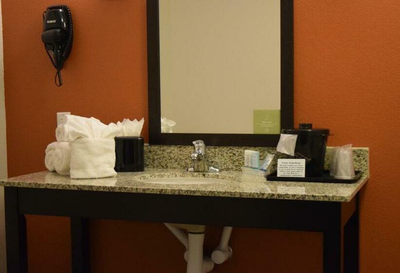 Стандартный Номер Кровать Кинг, Sleep Inn Lufkin