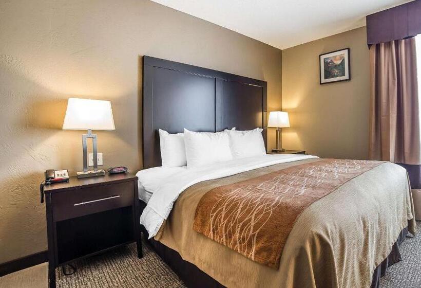 Стандартный Номер Кровать Кинг, Comfort Inn & Suites Vernal  National Monument Area
