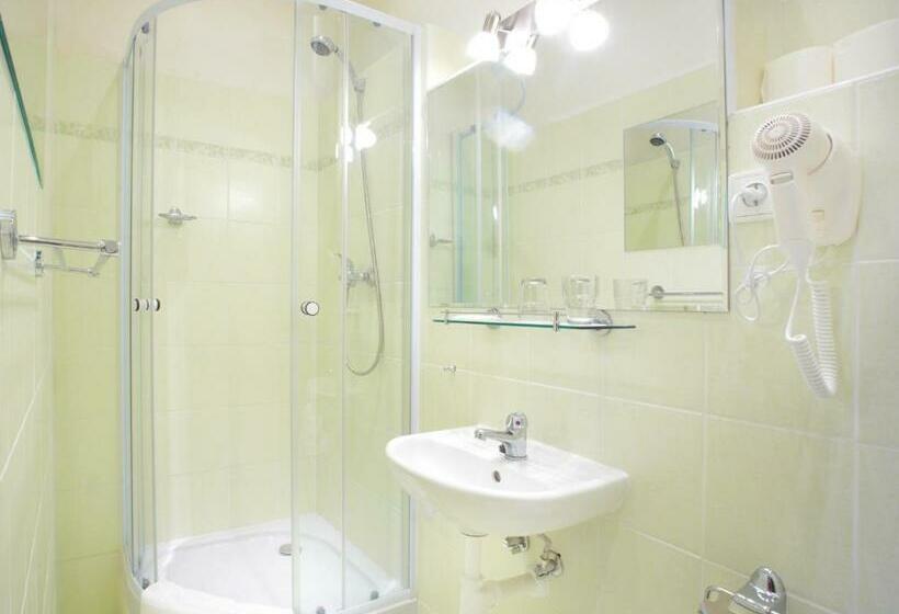 اتاق استاندارد, Wenceslas Square Hotel   Czech Leading Hotels