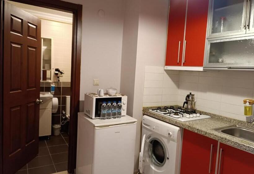 استودیوی استاندارد, The City Residence
