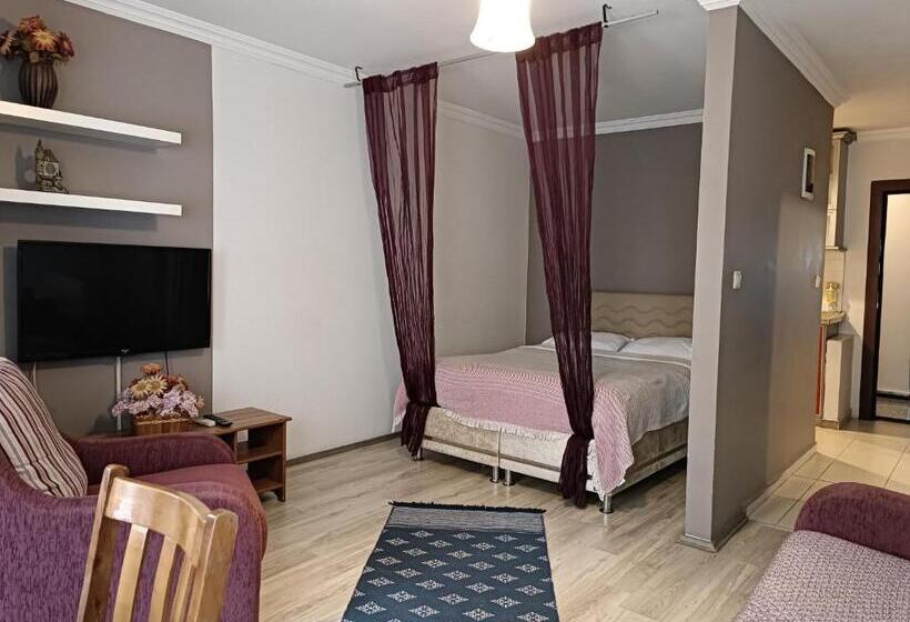 استودیوی استاندارد, The City Residence