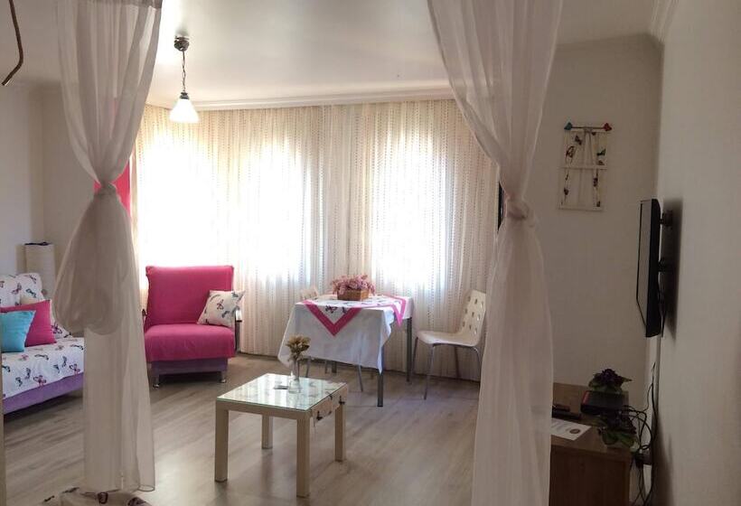 استودیوی استاندارد, The City Residence