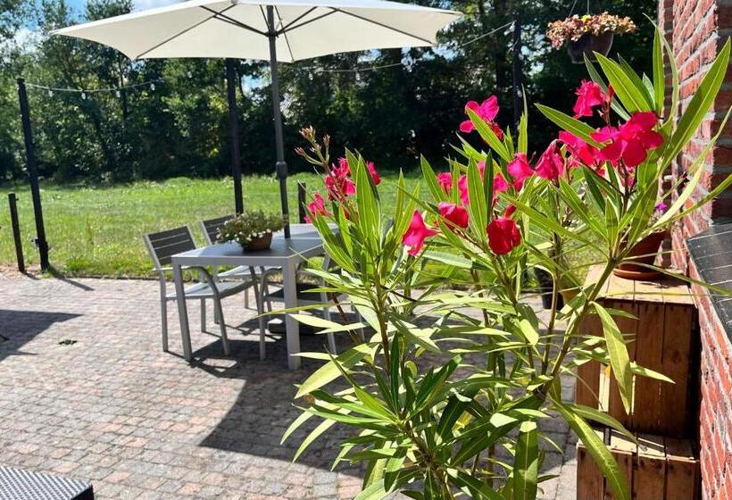 스탠다드 룸, Bed And Breakfast De Beekhoek