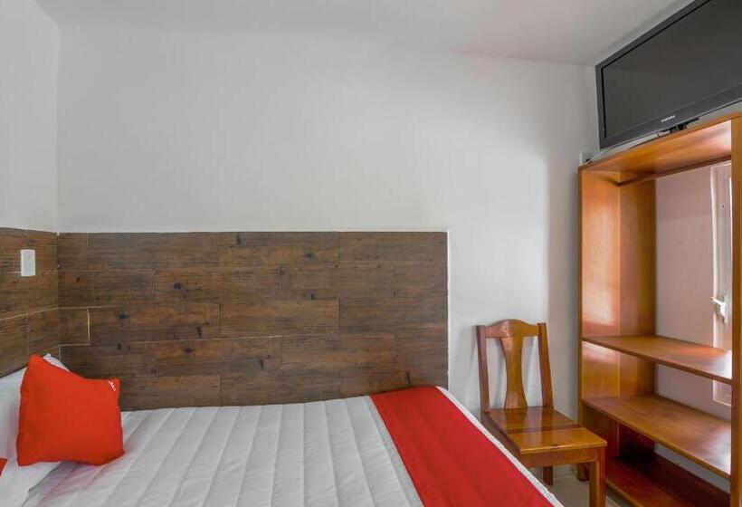 스탠다드 룸, OYO Hotel Palma Real