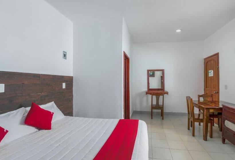 Quarto Individual Basic, OYO Hotel Palma Real