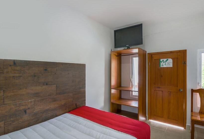 스탠다드 룸, OYO Hotel Palma Real
