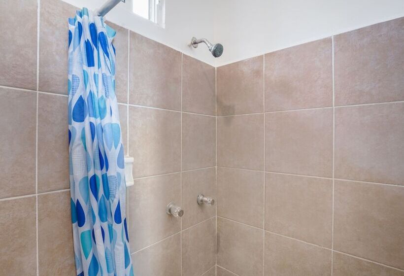 Quarto Individual Basic, OYO Hotel Palma Real