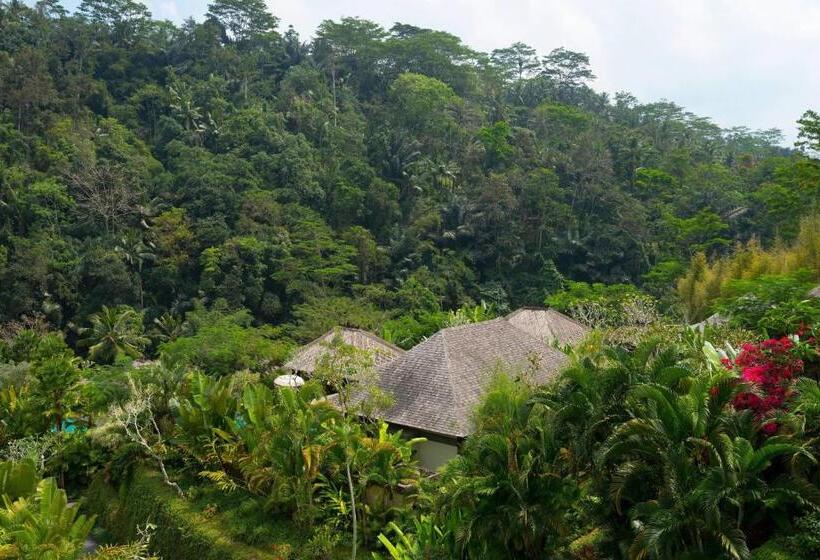 빌라 1 베드룸 - 수영장, Mandapa, A Ritz Carlton Reserve