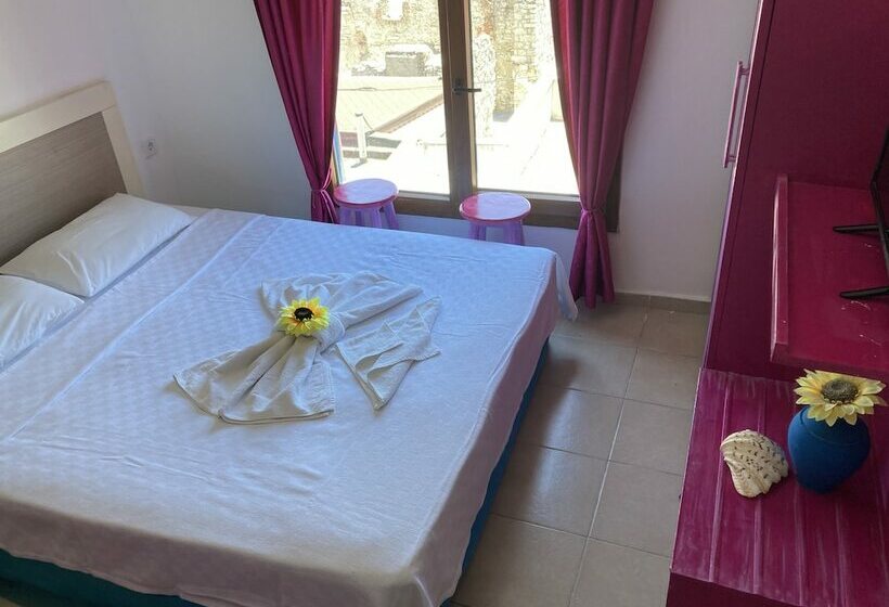 اتاق استاندارد, Can