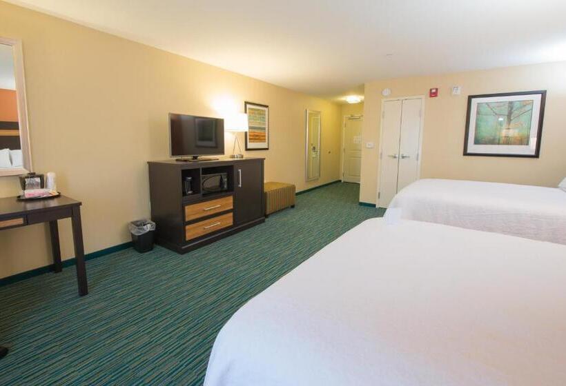 장애인을 위한 킹사이즈 침대 스탠다드 룸, Holiday Inn Bismarck, An Ihg