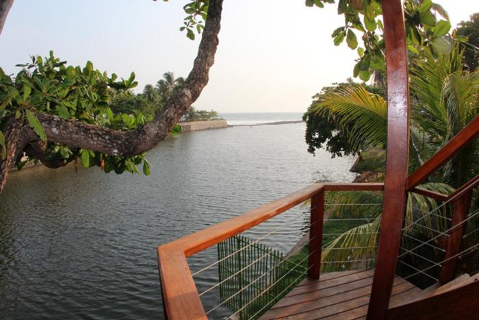 اتاق استاندارد با تخت بزرگ, Boca Olas Resort Villas