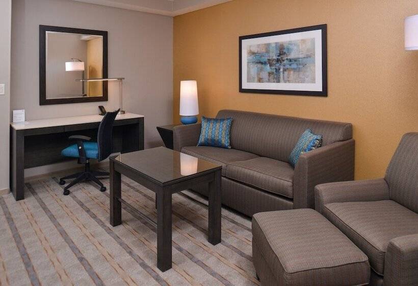 Номер Стандарт Адаптированный для Инвалидов, Crowne Plaza Shenandoah   The Woodlands