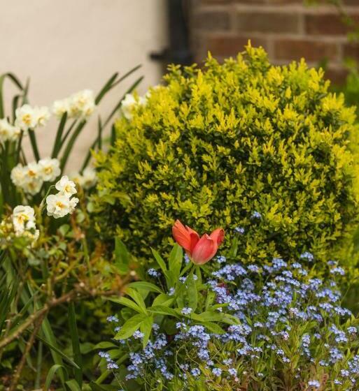 Номер Стандарт, Mulsford B&b