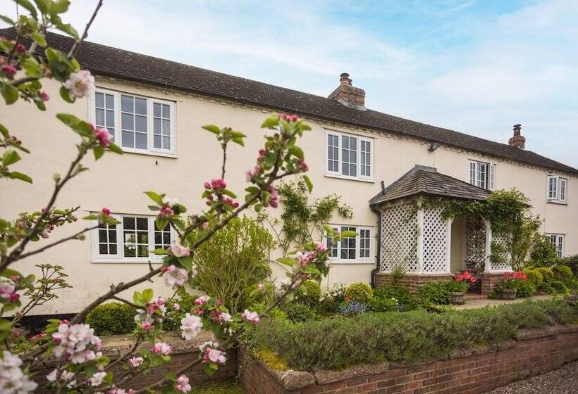 Номер Стандарт, Mulsford B&b
