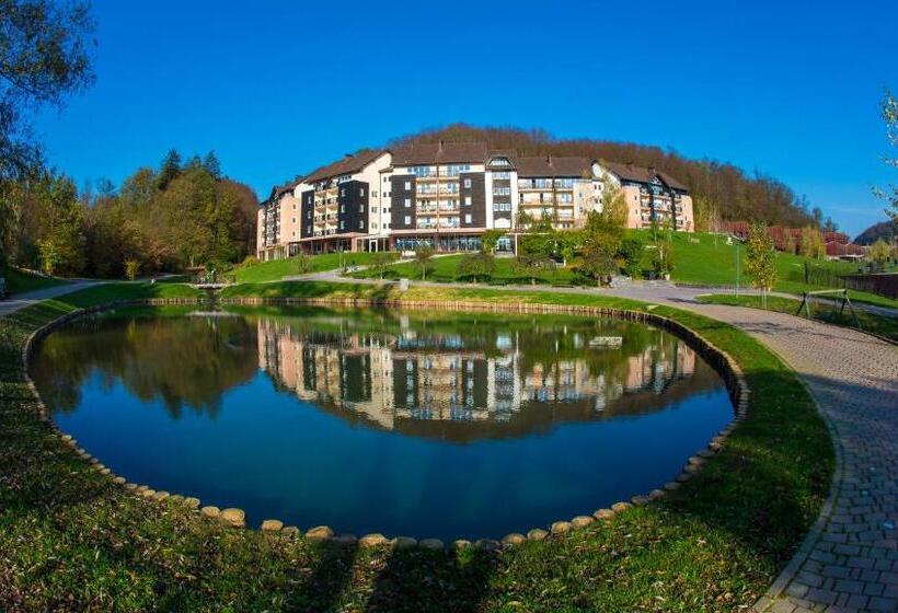 آپارتمان 1 خوابه با بالکن, Terme Olimia   Aparthotel Rosa