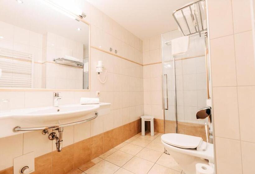 اتاق عادی, Post Post Hotel   Alpine Boutique Hotel & Spa