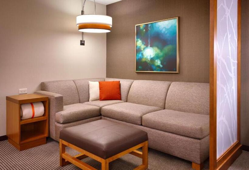 Номер Стандарт Адаптированный для Инвалидов, Hyatt Place Salt Lake City/lehi