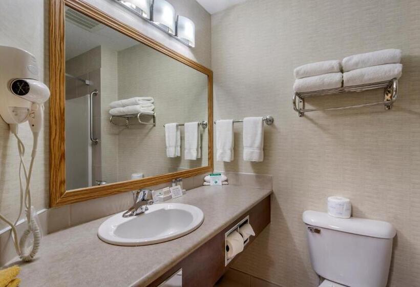 带大床的套房, Devonian Hotel And Suites
